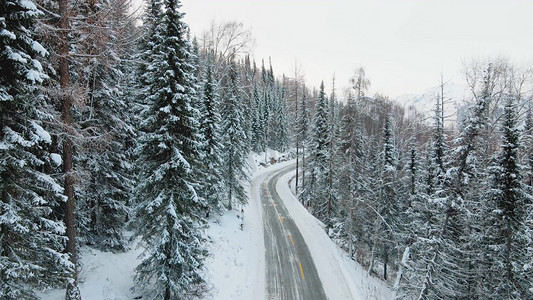 圣福灵雪景山摄影照片_冬天大雪风雪中的白桦林