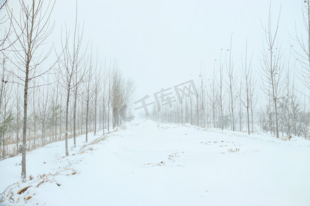 您好河北摄影照片_河北清晨大雪堤坝下雪摄影图配图