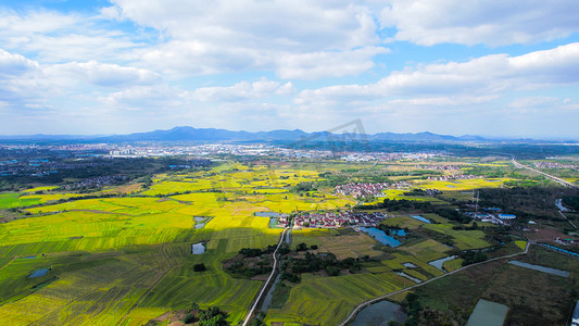 航拍最美乡村农田公路农村房屋