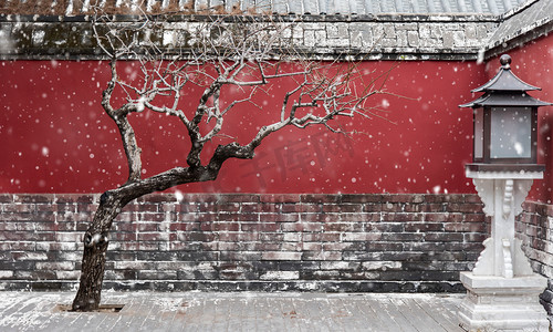 下雪背景雪花合成摄影图配图