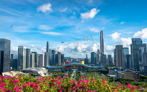 摄影照片_深圳城市建筑市民中心莲花山公园摄影图配图