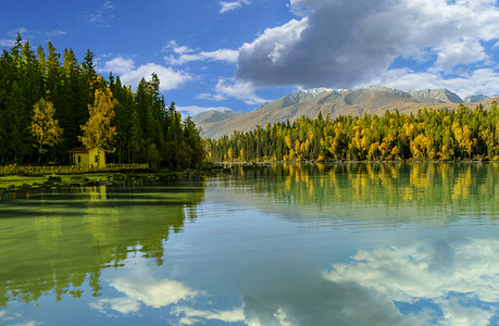 秋天树木摄影照片_喀纳斯景区白天喀纳斯湖秋季全景照片摄影图配图
