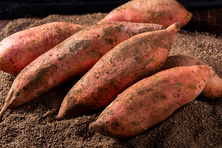 秋季美食摄影照片_美食秋季白天红薯土壤摆放摄影图配图