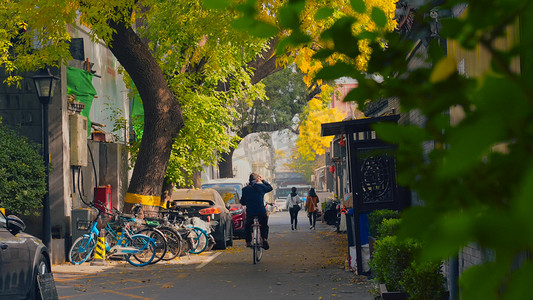 北京大学读书摄影照片_老北京胡同秋景实拍