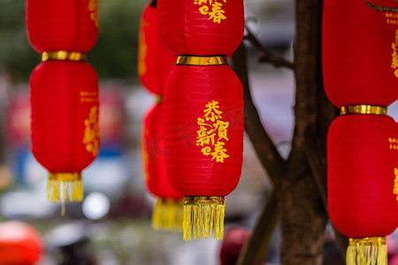 春节春节摄影照片_新春佳节春节挂灯笼摄影图配图