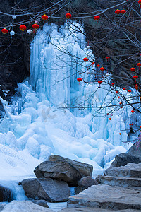 冬天雪景白天挂在树枝上的小灯笼户外无摄影图配图