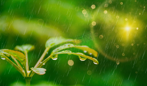 清明出游摄影照片_春天雨水春天雨水合成合成摄影图配图