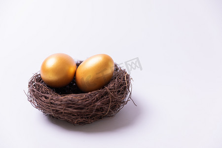 窝里的蛋春分立蛋24节气金色的蛋摄影图配图
