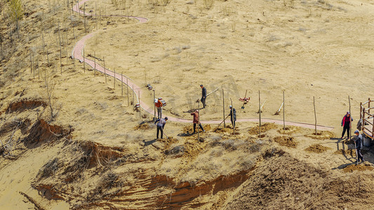 绿色春季树木摄影照片_植树节沙漠人工种植树木上午沙漠种植春季素材摄影图配图