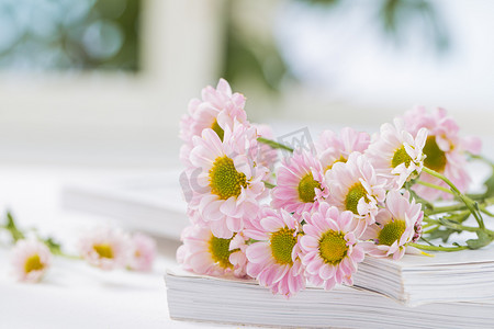粉色花底纹素材摄影照片_清新文艺花朵白天放在窗前的粉色雏菊室内窗台无摄影图配图