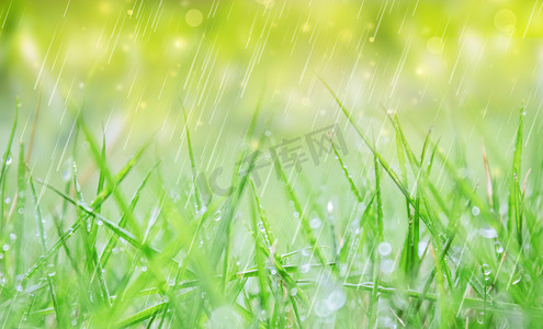 谷雨雨水雨水谷雨创意合成摄影图配图