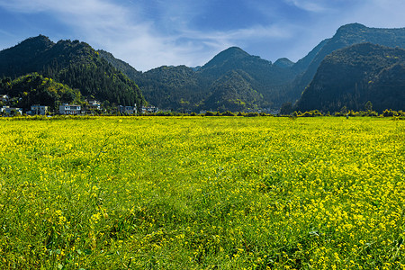 春天美丽的田园村庄油菜花盛开摄影图配图