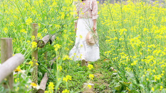 春游女生走在油菜花田背景
