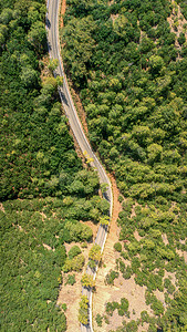 弯曲泼墨摄影照片_航拍森林中的弯曲公路摄影图配图