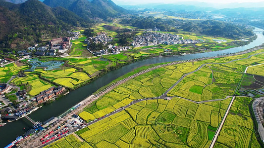 田野春天摄影照片_贵州丘陵金海雪山田野乡村