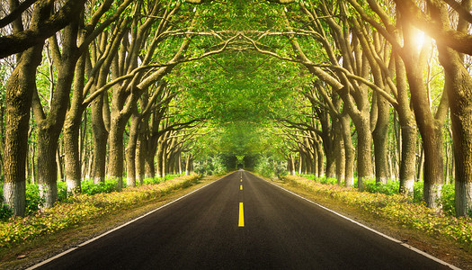 树林里的柏油路公路道路创意合成摄影图配图