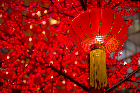 红色活动详情摄影照片_中国新年灯饰挂在树木上的详细信息