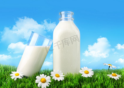 一杯牛奶杯摄影照片_瓶酒和一杯牛奶与草和雏菊