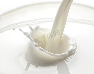 牛奶流动背景摄影照片_倒牛奶溅在白色背景上孤立
