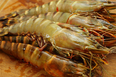 海洋食品摄影照片_大的新鲜虎虾，国王虾，虾