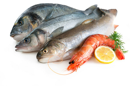 水产鱼摄影照片_海物海鲜水产食材原料