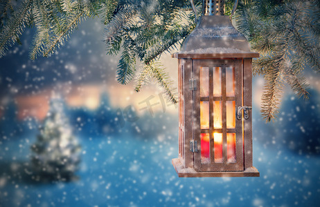 枝条摄影照片_冷杉的枝条上挂着的圣诞彩灯