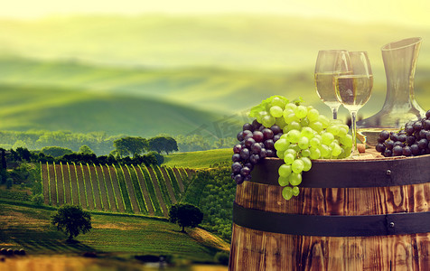 葡萄酒桶与葡萄酒庄园风景图