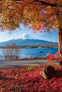 富士山和秋的落叶风景优美