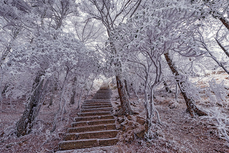 水晶皇冠摄影照片_冬天的楼梯视图在黄山国家公园.