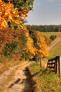 秋天秋日摄影照片_国家公路和秋天风景