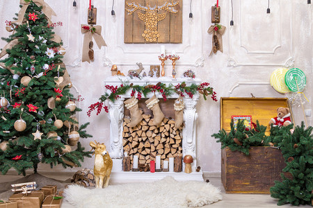 漂亮的冬青装饰房间，圣诞树下有礼物