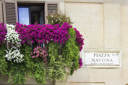 意大利的阳台装饰着花矮牵牛
