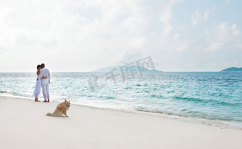 浪漫的年轻情侣在海边上的图片