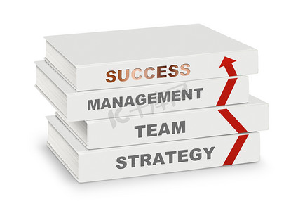 堆书涵盖管理、 团队、 战略、 成功和 ar