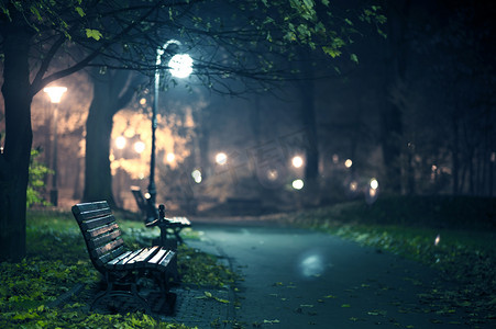 枫叶摄影照片_文艺在公园里的一夜景色