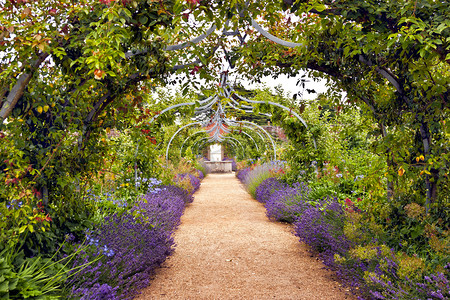 五彩缤纷的英语夏季花卉花园，拱廊下有一条小径