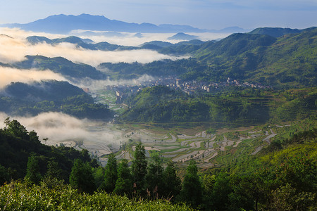 蓝色湖面摄影照片_稻田中梯田日出, 