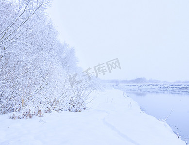 树木附近的河里下雪的时候