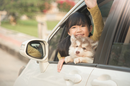 坐在车里的亚洲女孩和西伯利亚哈士奇犬小狗