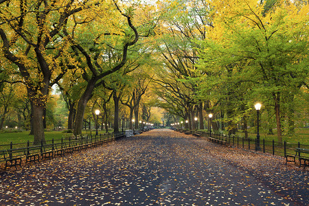 纽约州摄影照片_中央公园.