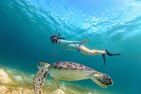 年轻女孩与海龟浮潜