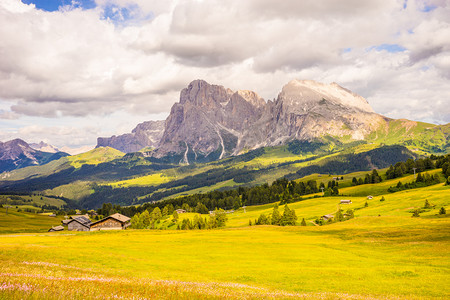 意大利Alpe di Siusi, Seiser Alm with Sassolungo Langkofel Dolomite,一片背景为高山的田野