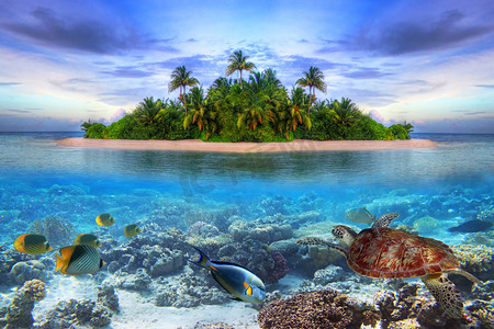 马尔代夫热带岛