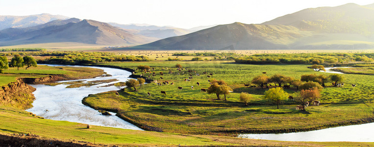 动物钻石画摄影照片_内蒙古大草原天然牧场