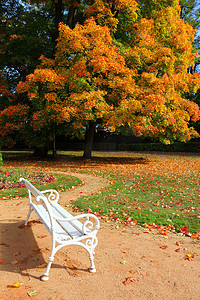 秋天的城市公园的长凳上