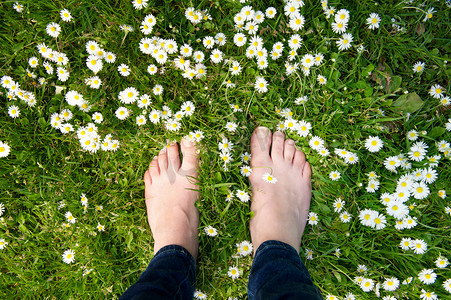 女性的脚站在绿色的草坪和白色的花