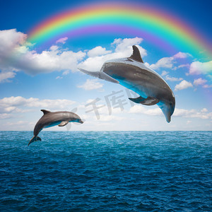 跨越式摄影照片_几个跳跃的海豚