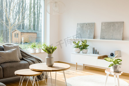 居室内灰色彩绘下的白色橱柜植物与森林和房子的看法
