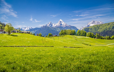 绿色草地摄影照片_在阿尔卑斯山以鲜绿色的草地和白雪皑皑的山峰的田园景观