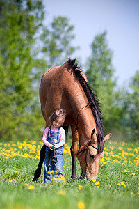假面骑士龙骑摄影照片_儿童和在该字段中的马